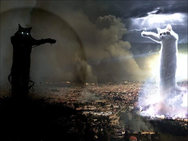 The black cat and the white cat rising over a burning city